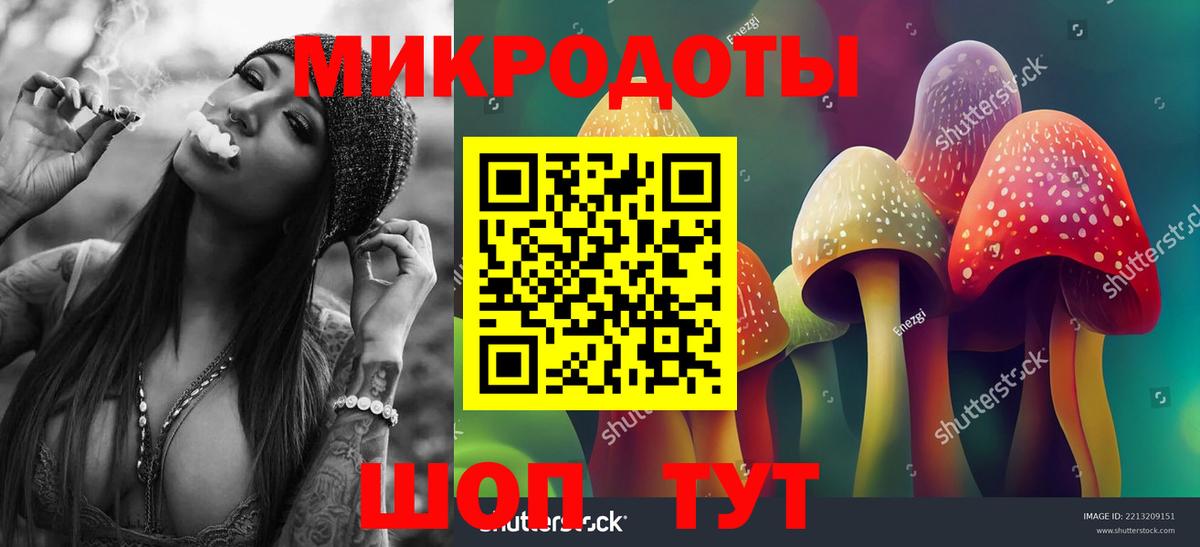 Маркс  Псилоцибиновые грибы Psilocybe  Вход с VPN  Галлюциногенные грибы мицелий 