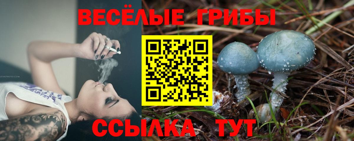 Галлюциногенные грибы прущие грибы Маркс